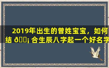 2019年出生的曾姓宝宝，如何结 🐡 合生辰八字起一个好名字